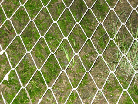 Stainless steel Chain Link Fence