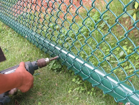 Aquaculture net