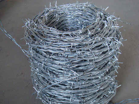 Hot-dipped Galvanized Barbed Wire