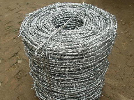 Stainless Steel Barbed Wire